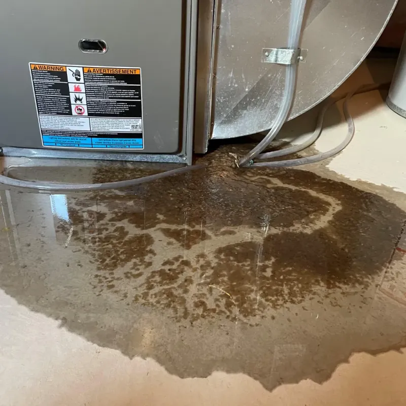 Appliance Leak Cleanup in Milwaukee, WI